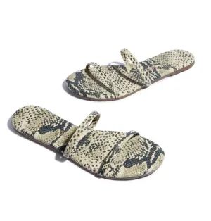 Tkees Gemma exotic- sandsnake