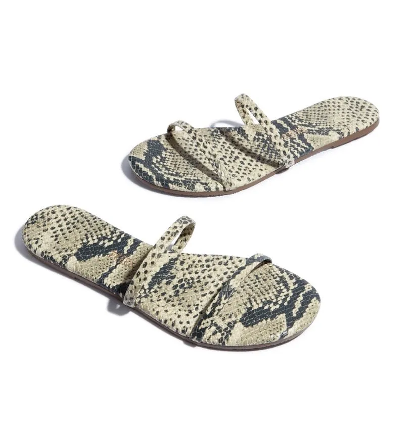 Tkees Gemma exotic- sandsnake