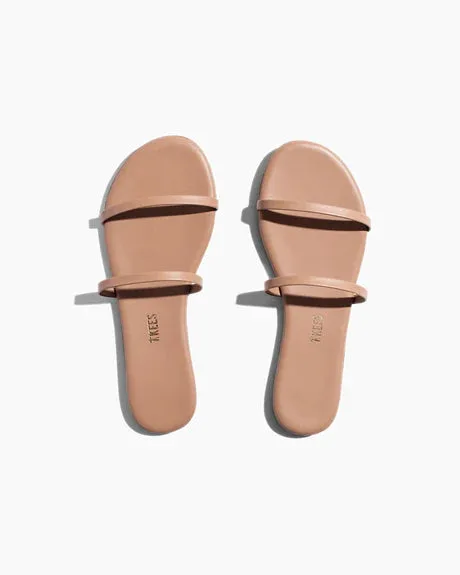 Tkees Gemma exotic- sandsnake