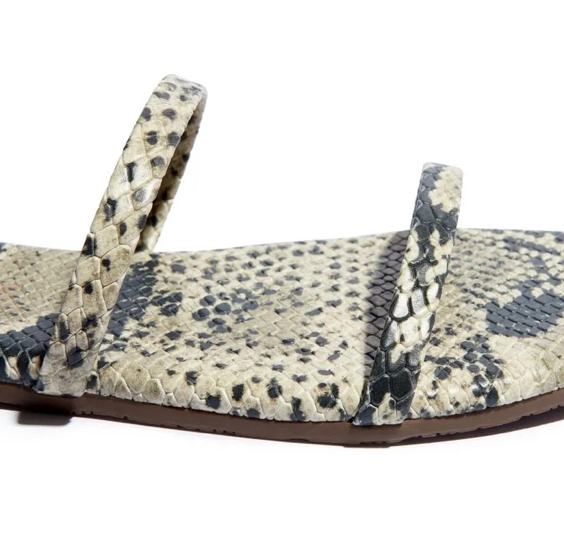 Tkees Gemma exotic- sandsnake