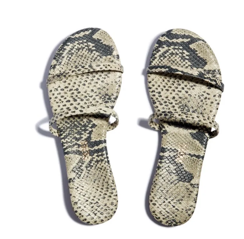 Tkees Gemma exotic- sandsnake
